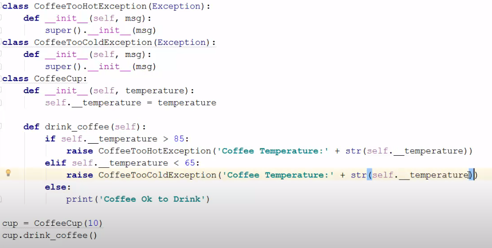 Custom exception class example output