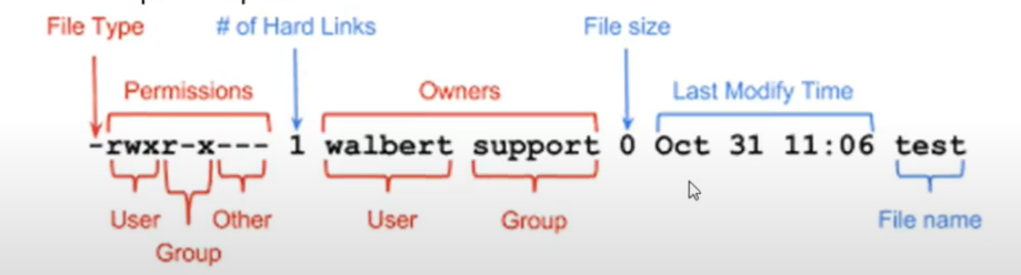 Format of ls -l permission string with type and rwx triplets